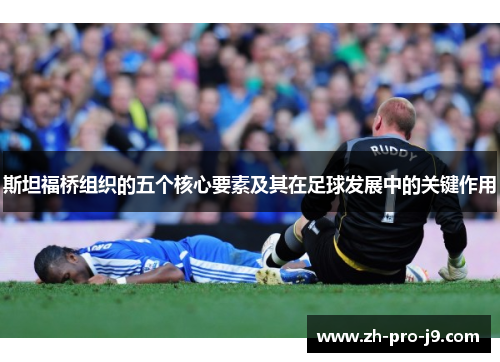 斯坦福桥组织的五个核心要素及其在足球发展中的关键作用