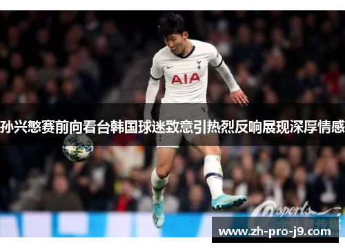 孙兴慜赛前向看台韩国球迷致意引热烈反响展现深厚情感