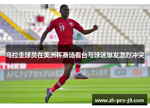 乌拉圭球员在美洲杯赛场看台与球迷爆发激烈冲突
